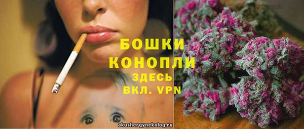 PSILOCYBIN Лабытнанги