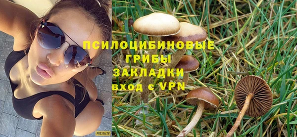 ECSTASY Ладушкин