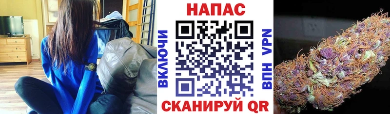 Купить закладки  Северск  МАРИХУАНА семена 